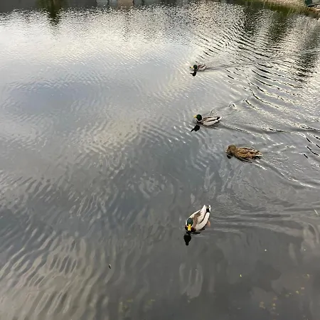 Amsterdam Palanga